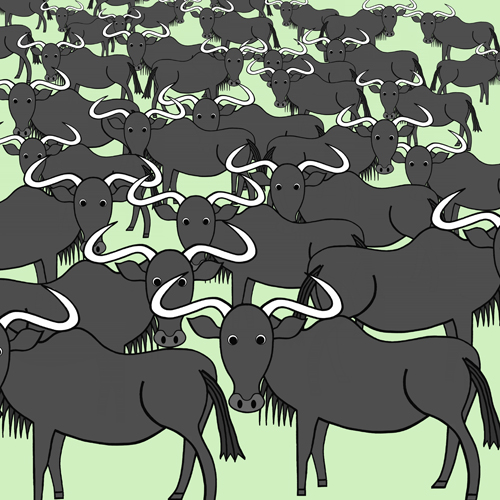 絵本に登場するヌーたち