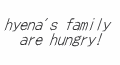 hyena's family are hungry!